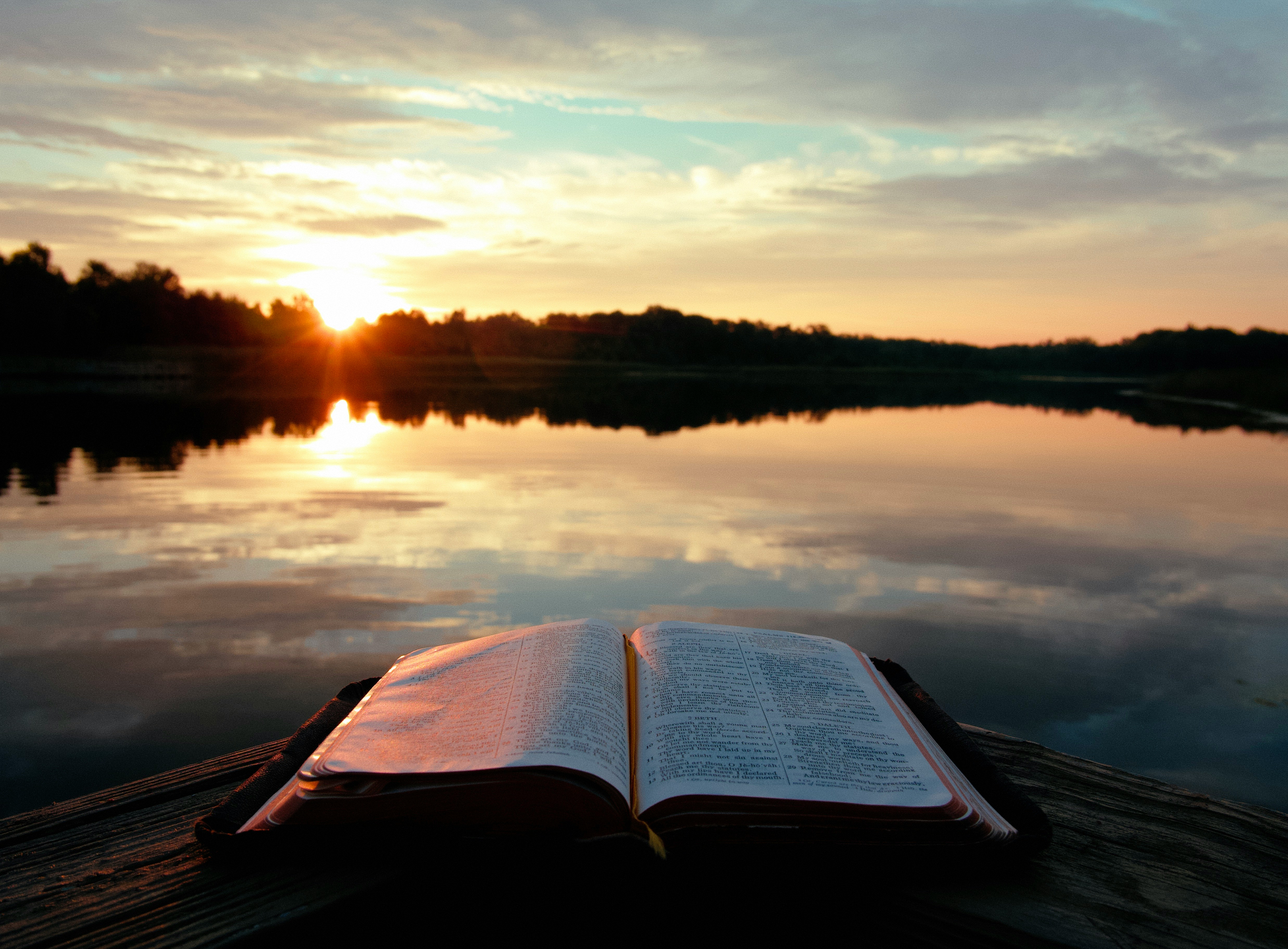 aaron burden 54hnfp7qupo unsplash